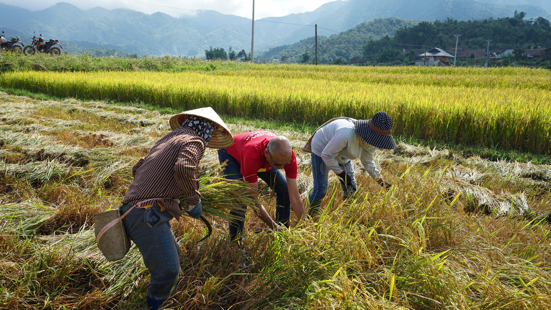 Dien Bien Phu/Road Trip Vietnam