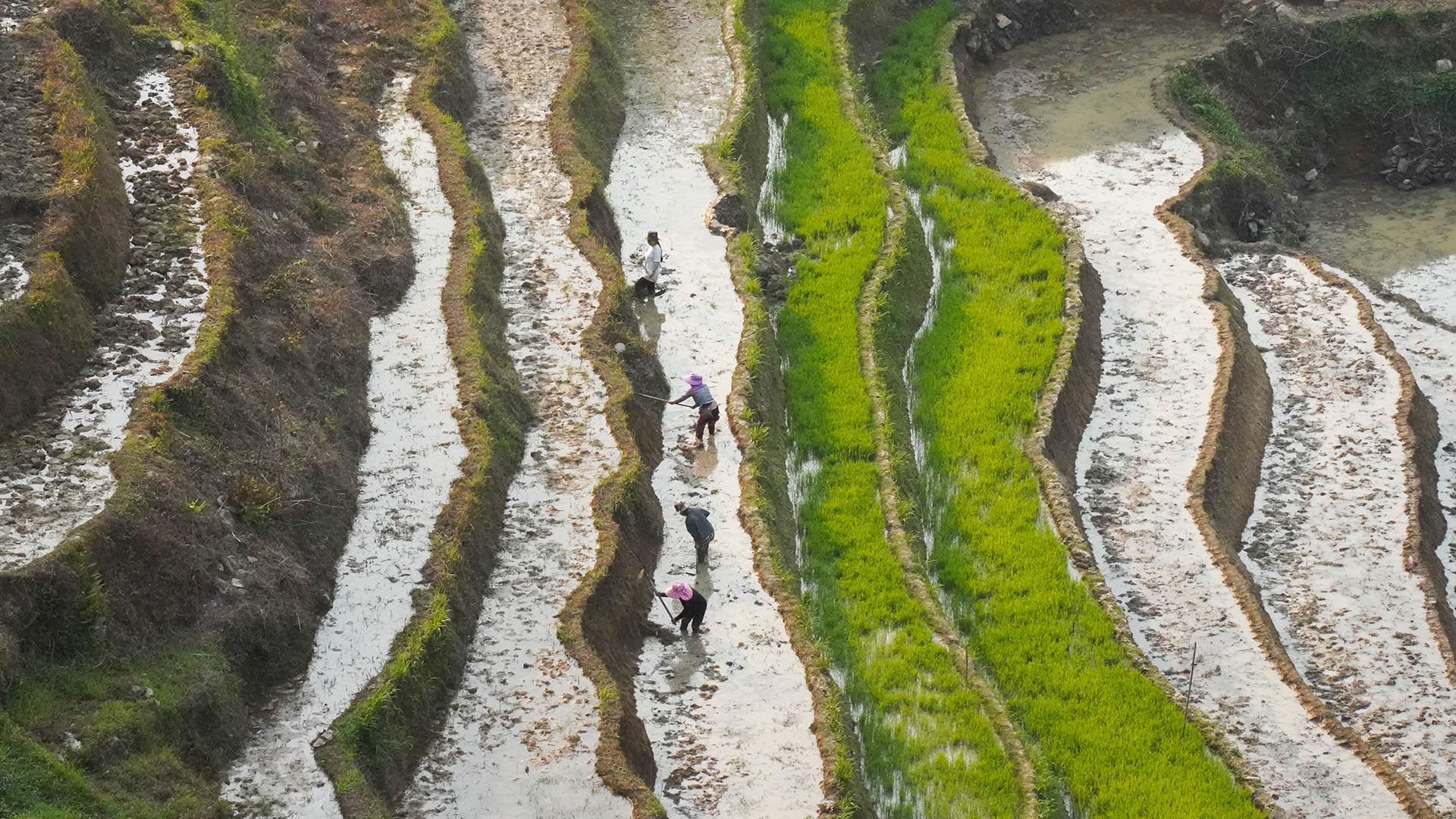 Sapa/Road trip Vietnam