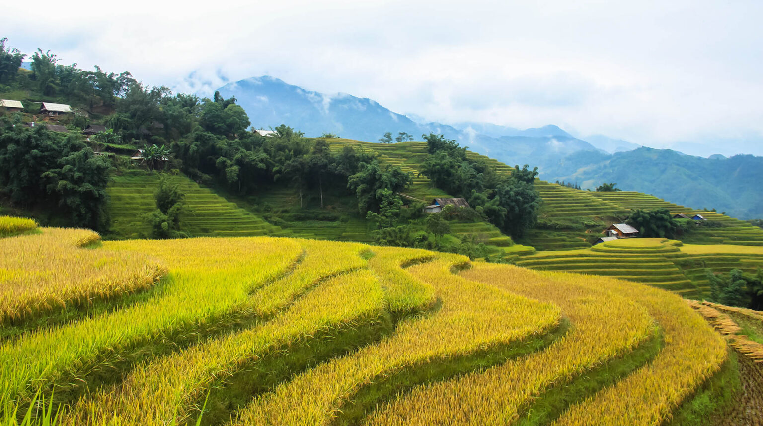 Sapa/Road trip Vietnam