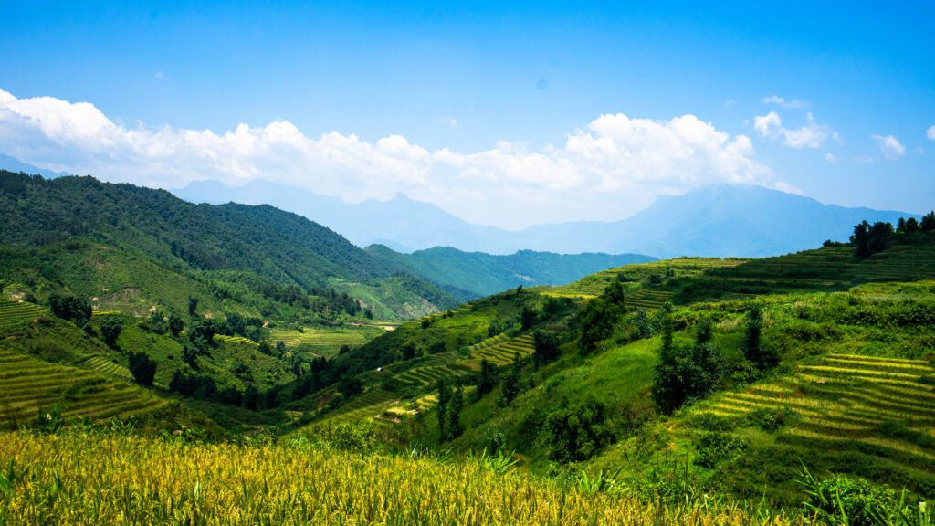 Photo des riziere de Sapa