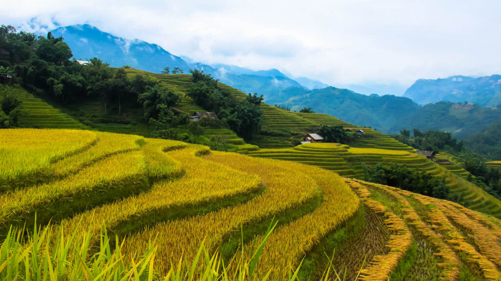 Sapa/Roadtrip Vietnam