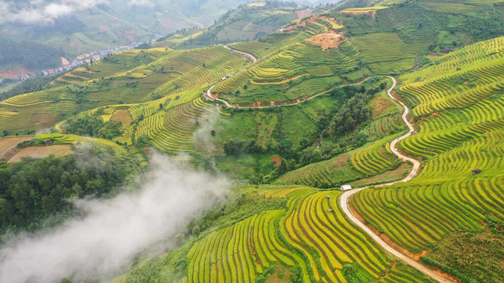 Rizières en terrasses à Mu Cang Chai