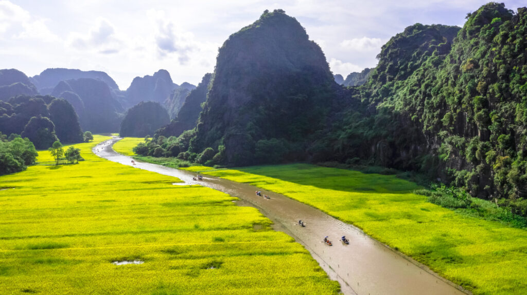 Rizières de Tam Coc entourées de montagnes karstiques à Ninh Binh